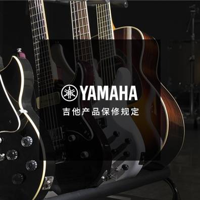 吉他、贝斯和音箱